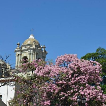 M1010 - The Best Place To Enjoy Oaxaca Экстерьер фото