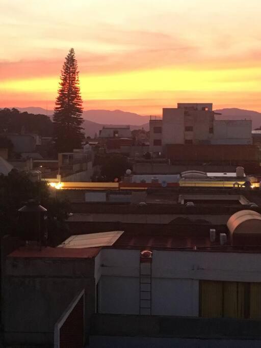 M1010 - The Best Place To Enjoy Oaxaca Экстерьер фото